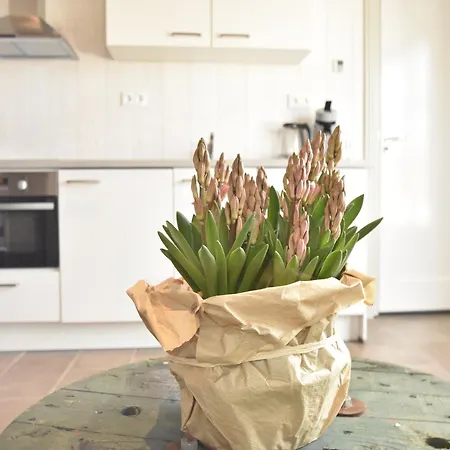 度假居 Near Groote Keeten