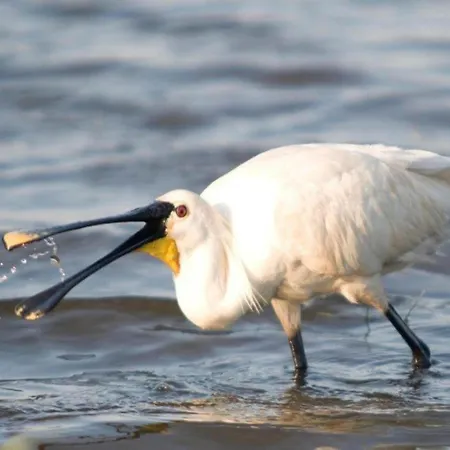 Near Groote Keeten Callantsoog