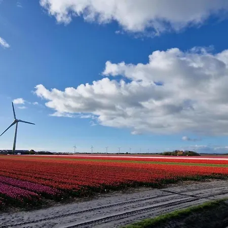 度假居 Near Groote Keeten