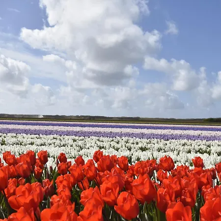 Near Groote Keeten Callantsoog