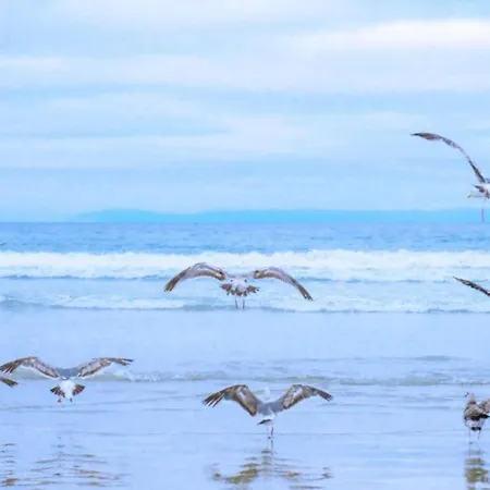 Near Groote Keeten Nyaraló Callantsoog