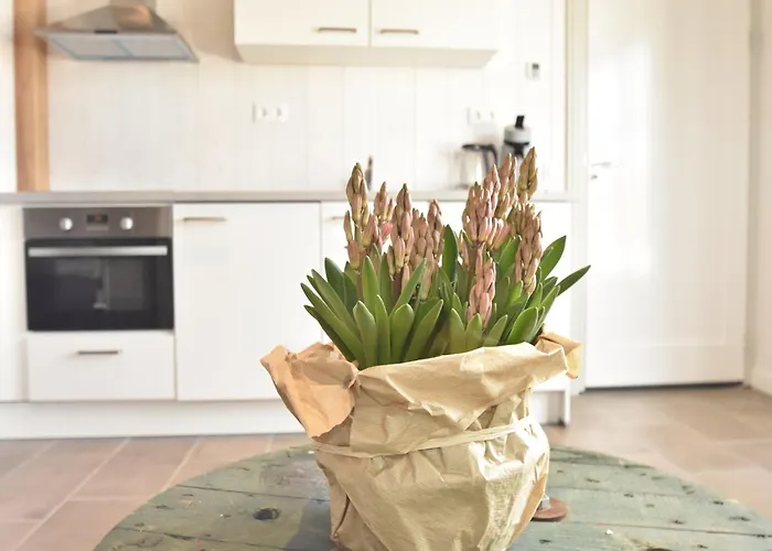 Vakantiehuis Near Groote Keeten