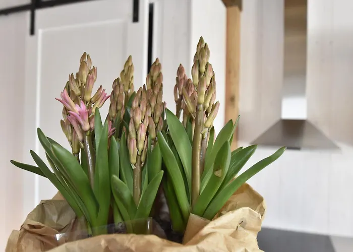 Vakantiehuis Near Groote Keeten *