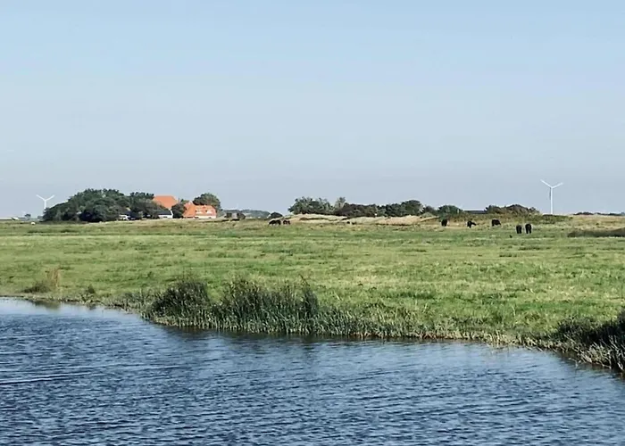 Near Groote Keeten * Callantsoog
