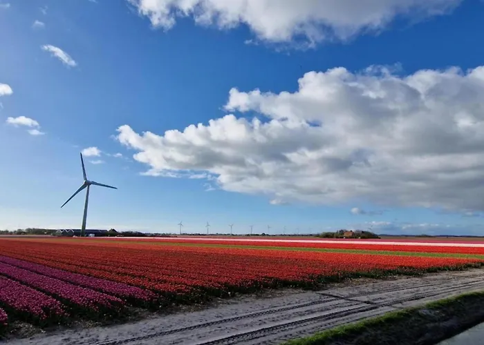 Vakantiehuis Near Groote Keeten