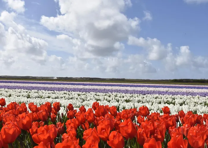 Near Groote Keeten Callantsoog