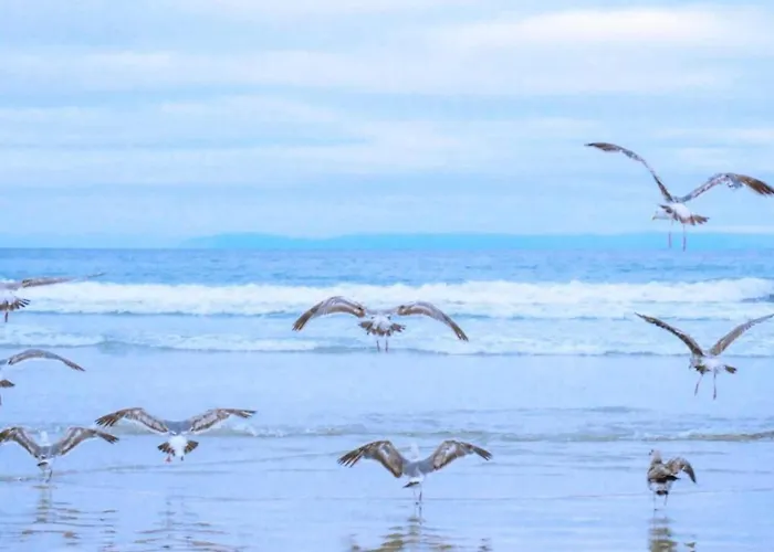 Near Groote Keeten Vakantiehuis Callantsoog