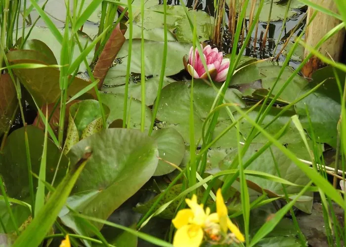 Vakantiehuis Near Groote Keeten