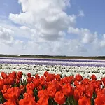 Near Groote Keeten Callantsoog