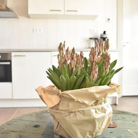 Vakantiehuis Cozy In Near Groote Keeten Callantsoog